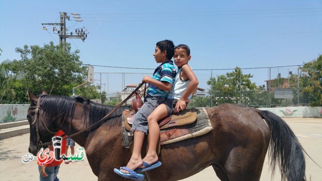 كفرقاسم - فيديو  : تعليم هواية ركوب الخيل في مدرسة جنة ابن رشد في اليوم الرابع لصيف الصادقة 